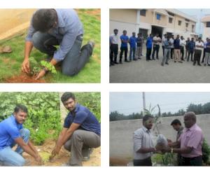 Des membres de l'équipe McWane de Coimbatore, en Inde, célèbrent la Journée mondiale de l'environnement